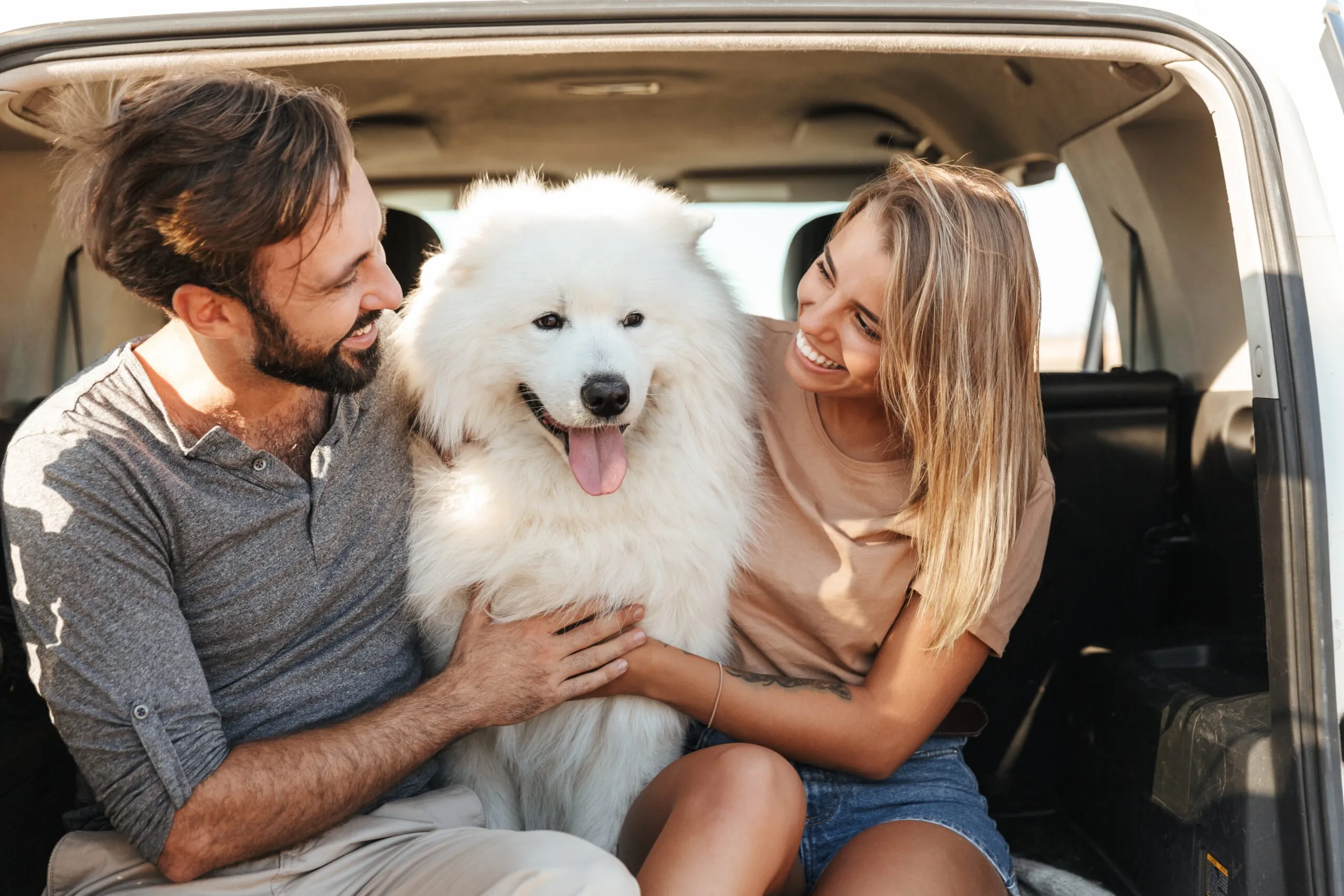 Hundägare i bagagen av sin bil. Tona rutorna för att minska värme och insyn i bilen