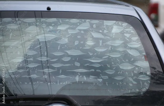 As películas com bolhas de ar no vidro do carro
